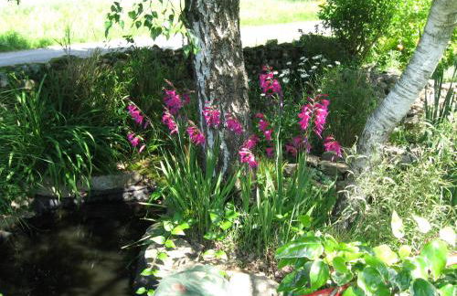 Gites du ROHERAN - Photo 8