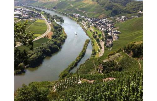 Ferienhaus Moselblick mit kostenfreien ÖPNV-Ticket - Foto 28