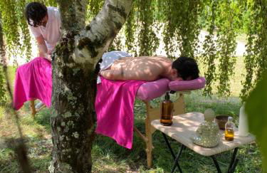 Les Hauts de Jeanvert - Gite de Charme - Piscine - Gaillac - Foto 33