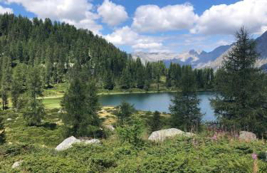 Baita Martin da Fist - Foto 76