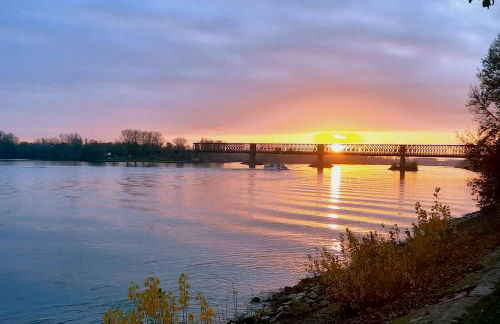 Rheinhessen Apartment - Foto 13