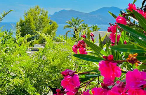 Luxury&Privacy - Pool, Parking, AC - Palais in 5' - Foto 21