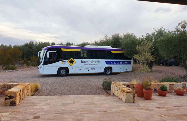 Malbec Tour of the Luján de Cuyo Wine Region - Photo 8