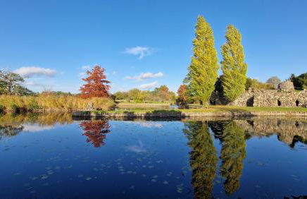 Apartment Leopold - Foto 33