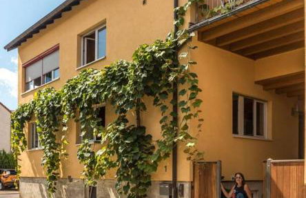 Unter den Reben - Foto 1