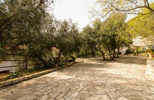 Apartments Sveta Marina - Foto 5