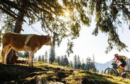 Alpenliebe Comfortable holiday residence - Foto 16