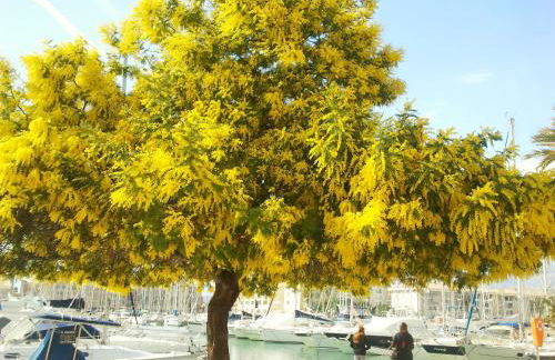 Résidence Golfs de Valescure 9 - Foto 63