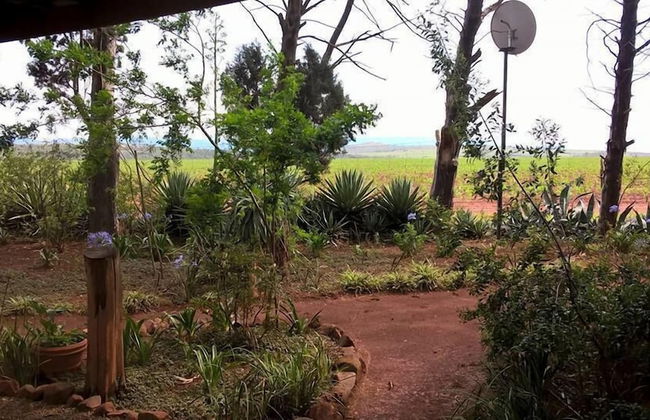 Woodland Gardens - Photo 78