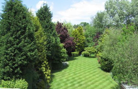 Lovely, spacious home with huge rear garden - Foto 1