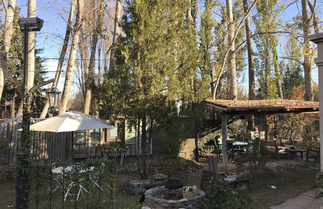 Dark Green House - Chacras de Coria - Photo 41