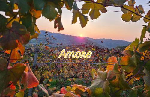 appartement Barbera - Foto 40