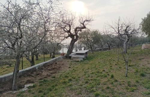 Dimora Montelago Apartment Gino giardino, AC, - Foto 31