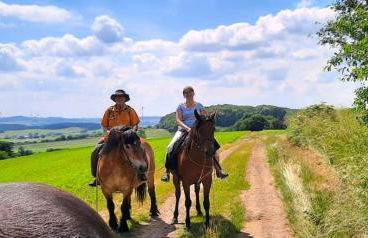 Ferienwohnung Pferdestärke-Eifel - Foto 6