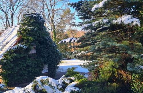 4 Sterne-Haus am See - Foto 71