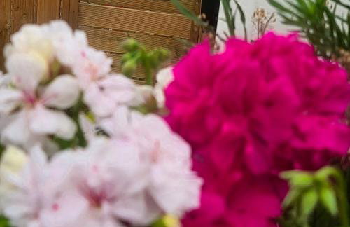 Maison charmante avec jardin à 7 min de Giverny, Sauna, Wifi, parking gratuit dans la rue, calme - Foto 12