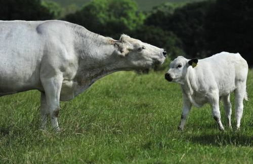 Luxury private FARM BARN, Airport, NEC - Foto 5