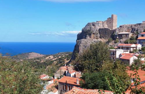 Anna's Horizon - Foto 20