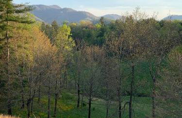1878 Victorian Farm House near Asheville - Foto 54