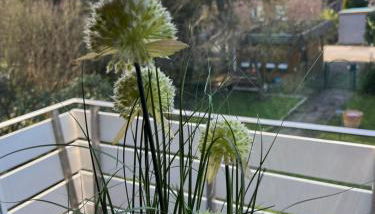 Ruhige, stadtnahe Wohnung im hamburger Westen - Foto 3