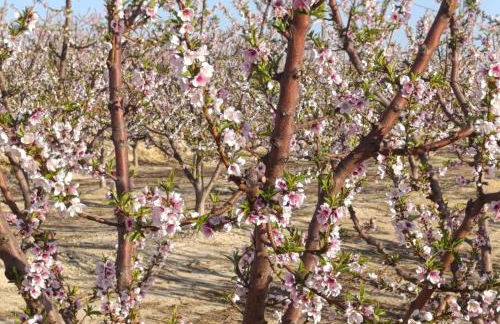 Apartamento en centro de Archena - Foto 38