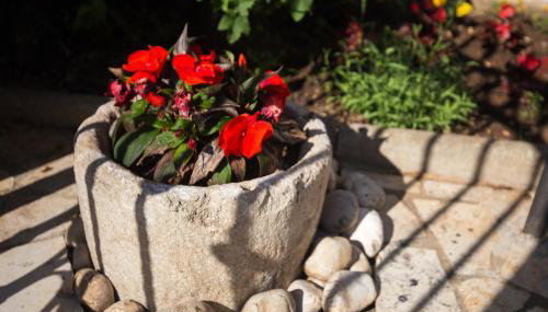 Apartments House Risika - Foto 5