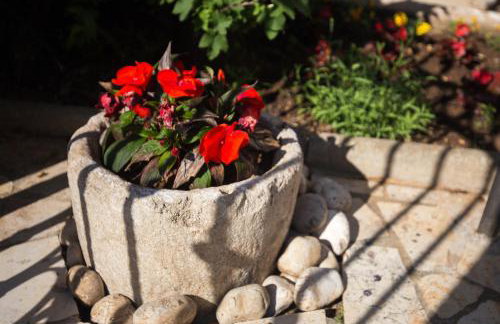 Apartments House Risika - Foto 5