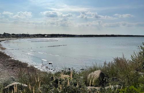 Reethaus Seeadler mit Sauna, Terrasse, Garten - Foto 17