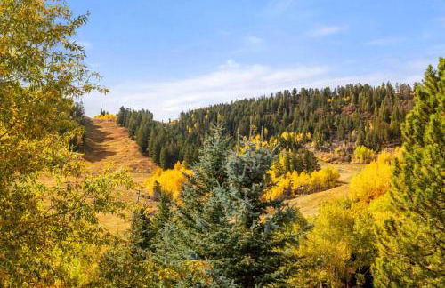 Capitol Peak Lodge by iTrip Aspen Snowmass - Photo 20