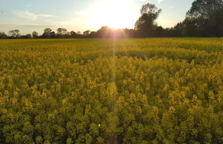 Landhaus Sinneswandel - Foto 21