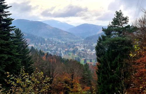Schöne Ferienwohnung im Schwarzwald - Foto 9