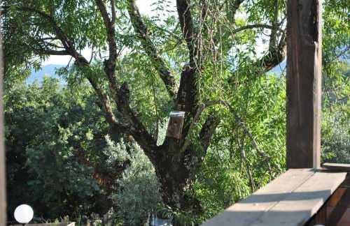 Azienda Agricola Biologica La Cardellina - Foto 68