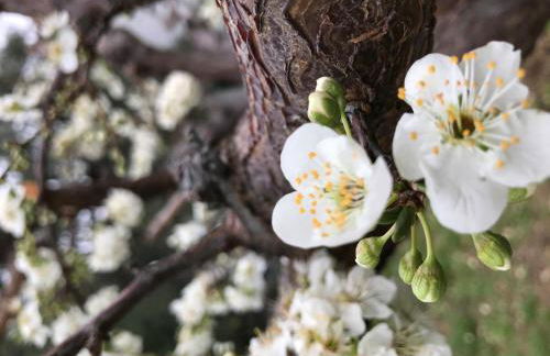 La Casa del Maestro Attico - Photo 58