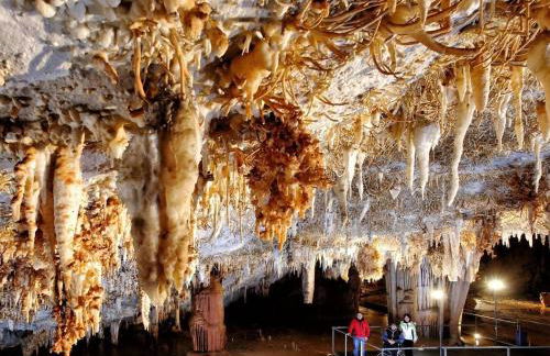 Armaño Rural G-10069 - Photo 47