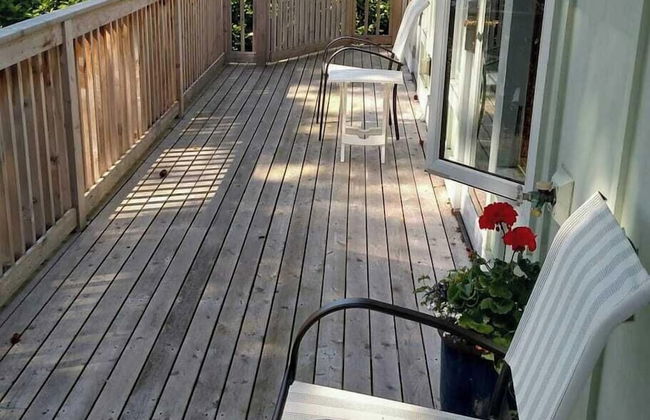 Harbor View Haven by Avantstay Private Backyard - Photo 4