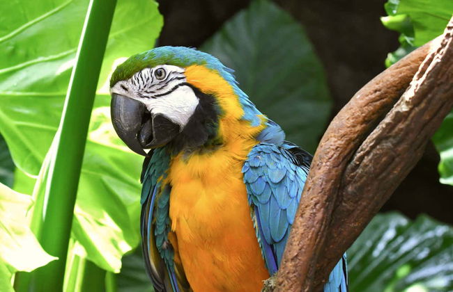 Central Park Zoo Tickets - Foto 8