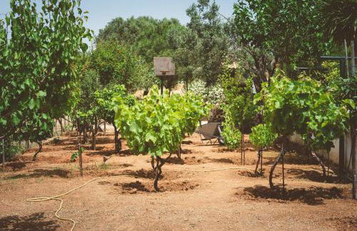 Marianna Cottage - Foto 36