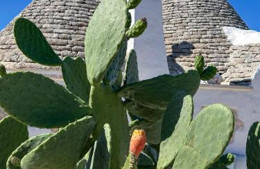 ALMAPULIA I TRULLI - Foto 69