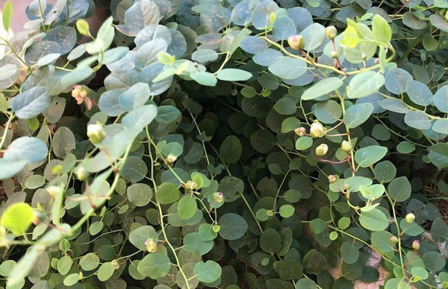 Agriturismo Vivinatura - Foto 75