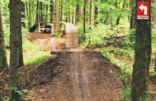 Schreiber-FeWo 01 - Foto 15