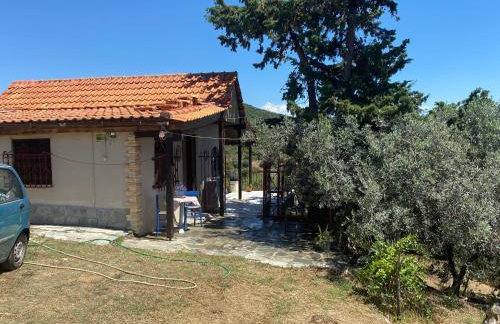 Real Holidays Antoniadou - Rustic House - Foto 41