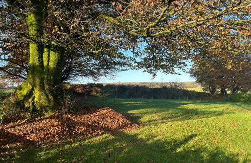 Winstitchen Cottage situated near the River Barle - Foto 69