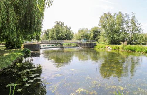 Kingfisher - Photo 41