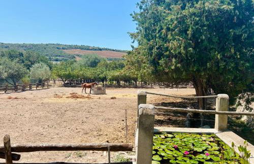 Agriturismo Silis - Foto 18