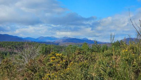 Linsmore Lodges - Foto 2