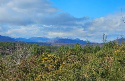 Linsmore Lodges - Foto 2