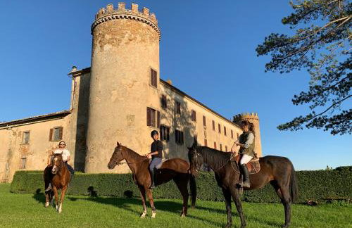 Tuscan Farmhouses at Castello del Calcione Estate - Foto 56