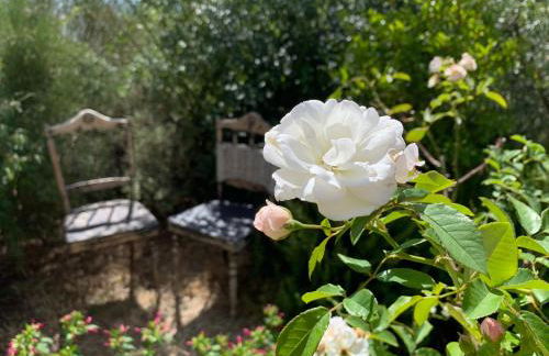 Podere Casallorto - Foto 16