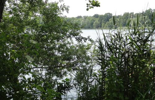 Cottage Ferienwohnung mit Seeblick - Foto 9