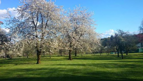 Schäferwagen Merino - Photo 5